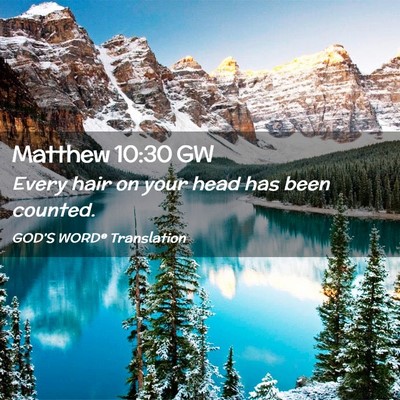 Picture 02 - Matthew 10:30 GW - Every hair on your head has been - Bible Verse Picture