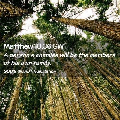 Picture 02 - Matthew 10:36 GW - A person’s enemies will be the members of his - Bible Verse Picture