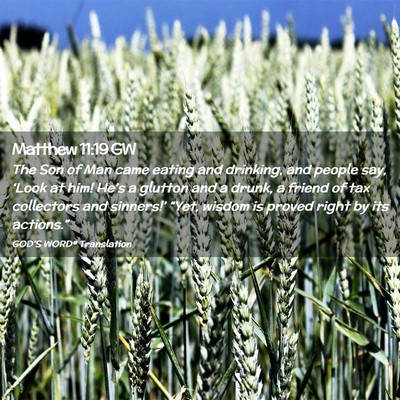 Picture 02 - Matthew 11:19 GW - The Son of Man came eating and drinking, and - Bible Verse Picture