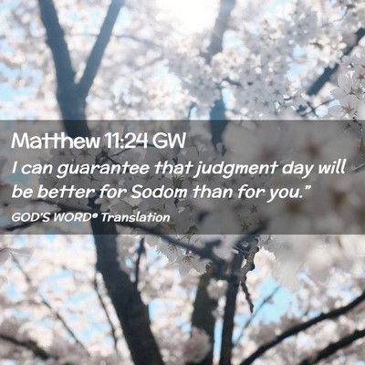 Picture 02 - Matthew 11:24 GW - I can guarantee that judgment day will be better - Bible Verse Picture