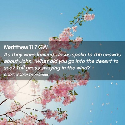 Picture 02 - Matthew 11:7 GW - As they were leaving, Jesus spoke to the crowds - Bible Verse Picture