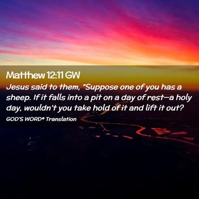 Picture 02 - Matthew 12:11 GW - Jesus said to them, “Suppose one of you has a - Bible Verse Picture