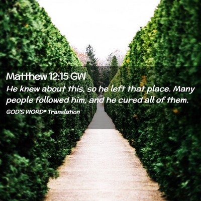 Picture 02 - Matthew 12:15 GW - He knew about this, so he left that place. Many - Bible Verse Picture
