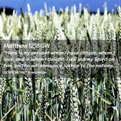 Picture 02 - Matthew 12:18 GW - “Here is my servant whom I have chosen, whom I - Bible Verse Picture