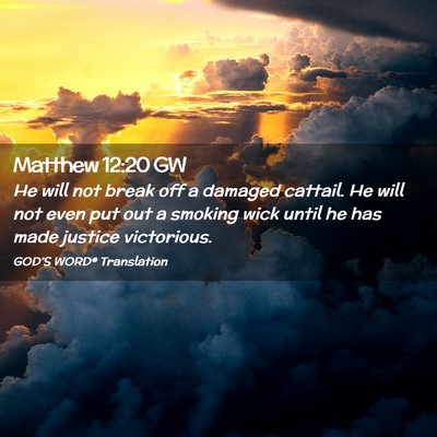 Picture 02 - Matthew 12:20 GW - He will not break off a damaged cattail. He will - Bible Verse Picture