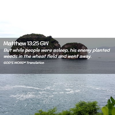 Picture 02 - Matthew 13:25 GW - But while people were asleep, his enemy planted - Bible Verse Picture