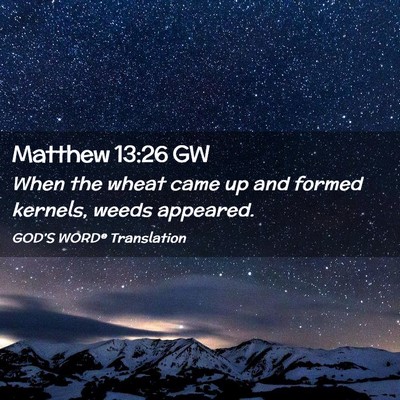 Picture 02 - Matthew 13:26 GW - When the wheat came up and formed kernels, weeds - Bible Verse Picture
