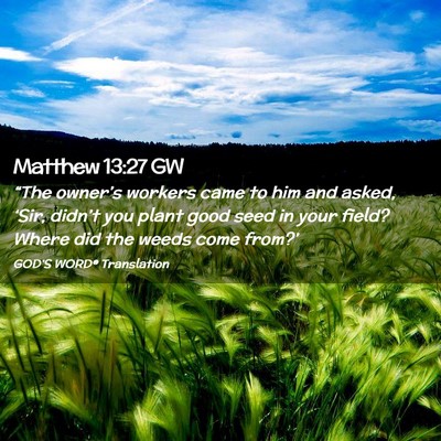 Picture 02 - Matthew 13:27 GW - “The owner’s workers came to him and asked, - Bible Verse Picture