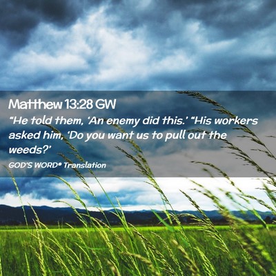 Picture 02 - Matthew 13:28 GW - “He told them, ‘An enemy did this.’ “His - Bible Verse Picture