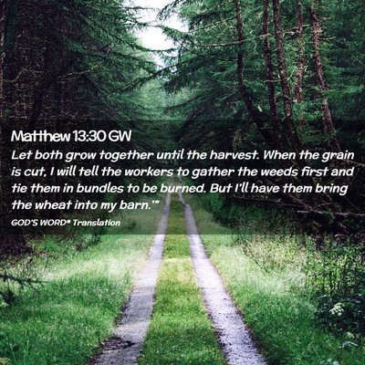 Picture 02 - Matthew 13:30 GW - Let both grow together until the harvest. When - Bible Verse Picture