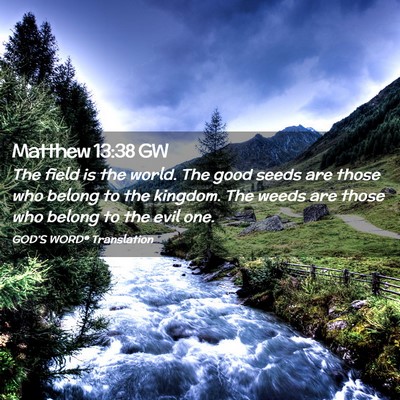Picture 02 - Matthew 13:38 GW - The field is the world. The good seeds are those - Bible Verse Picture