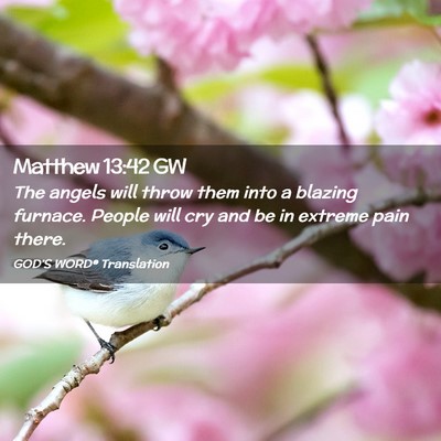 Picture 02 - Matthew 13:42 GW - The angels will throw them into a blazing - Bible Verse Picture