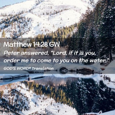 Picture 02 - Matthew 14:28 GW - Peter answered, “Lord, if it is you, order me - Bible Verse Picture