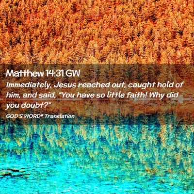 Picture 02 - Matthew 14:31 GW - Immediately, Jesus reached out, caught hold of - Bible Verse Picture
