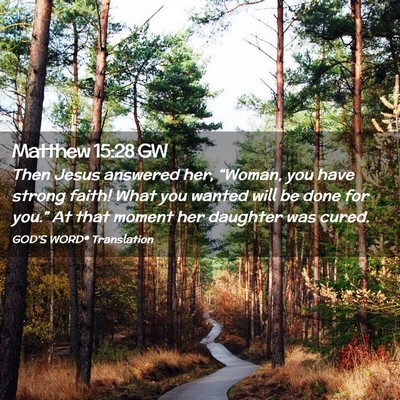 Picture 02 - Matthew 15:28 GW - Then Jesus answered her, “Woman, you have - Bible Verse Picture
