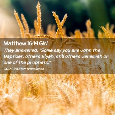 Picture 02 - Matthew 16:14 GW - They answered, “Some say you are John the - Bible Verse Picture