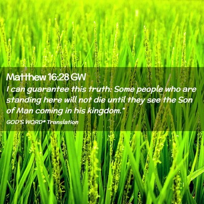Picture 02 - Matthew 16:28 GW - I can guarantee this truth: Some people who are - Bible Verse Picture