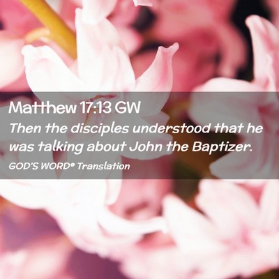 Picture 02 - Matthew 17:13 GW - Then the disciples understood that he was talking - Bible Verse Picture