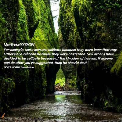 Picture 02 - Matthew 19:12 GW - For example, some men are celibate because they - Bible Verse Picture