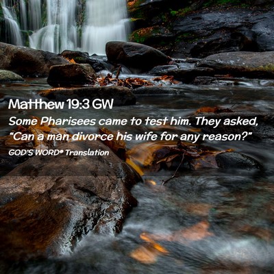 Picture 02 - Matthew 19:3 GW - Some Pharisees came to test him. They asked, - Bible Verse Picture
