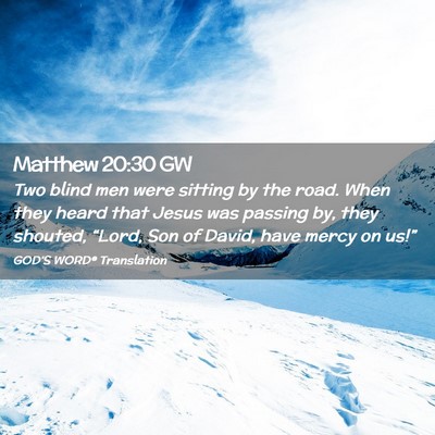 Picture 02 - Matthew 20:30 GW - Two blind men were sitting by the road. When they - Bible Verse Picture