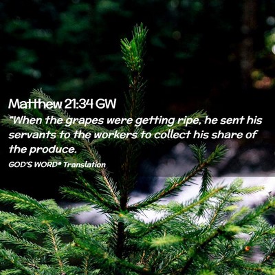 Picture 02 - Matthew 21:34 GW - “When the grapes were getting ripe, he sent his - Bible Verse Picture