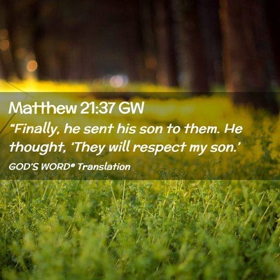 Picture 02 - Matthew 21:37 GW - “Finally, he sent his son to them. He thought, - Bible Verse Picture