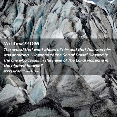 Picture 02 - Matthew 21:9 GW - The crowd that went ahead of him and that - Bible Verse Picture