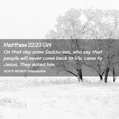 Picture 02 - Matthew 22:23 GW - On that day some Sadducees, who say that people - Bible Verse Picture