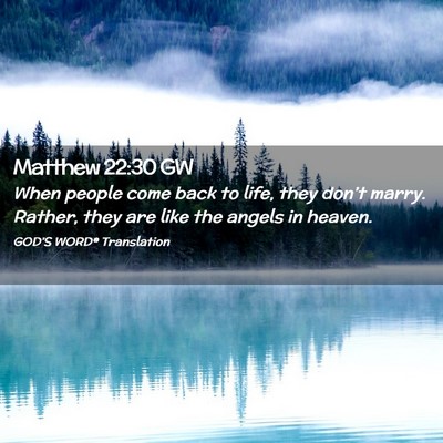 Picture 02 - Matthew 22:30 GW - When people come back to life, they don’t - Bible Verse Picture