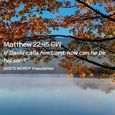 Picture 02 - Matthew 22:45 GW - If David calls him Lord, how can he be his - Bible Verse Picture