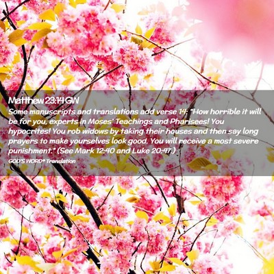 Picture 02 - Matthew 23:14 GW - Some manuscripts and translations add verse 14: - Bible Verse Picture