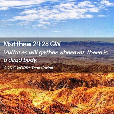 Picture 02 - Matthew 24:28 GW - Vultures will gather wherever there is a dead - Bible Verse Picture