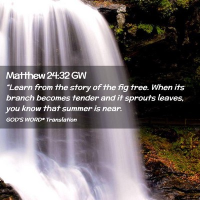Picture 02 - Matthew 24:32 GW - “Learn from the story of the fig tree. When its - Bible Verse Picture