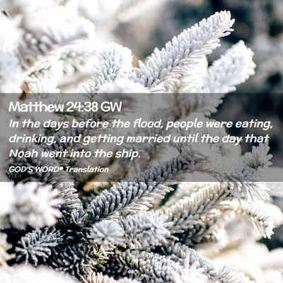 Picture 02 - Matthew 24:38 GW - In the days before the flood, people were eating, - Bible Verse Picture