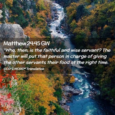 Picture 02 - Matthew 24:45 GW - “Who, then, is the faithful and wise servant? - Bible Verse Picture