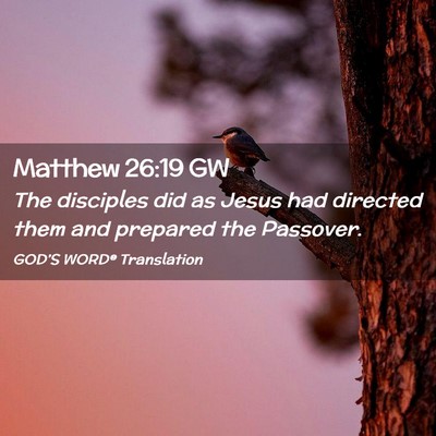 Picture 02 - Matthew 26:19 GW - The disciples did as Jesus had directed them and - Bible Verse Picture