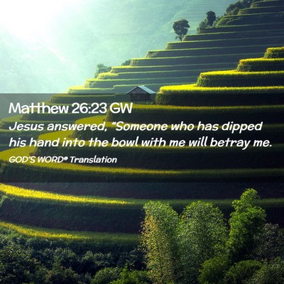 Picture 02 - Matthew 26:23 GW - Jesus answered, “Someone who has dipped his - Bible Verse Picture