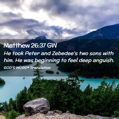 Picture 02 - Matthew 26:37 GW - He took Peter and Zebedee’s two sons with him. - Bible Verse Picture