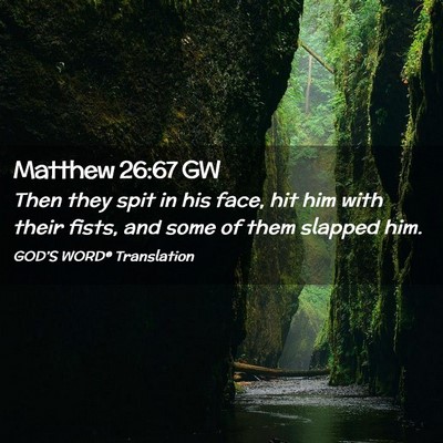 Picture 02 - Matthew 26:67 GW - Then they spit in his face, hit him with their - Bible Verse Picture