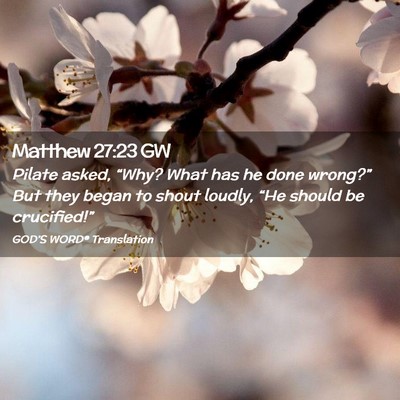Picture 02 - Matthew 27:23 GW - Pilate asked, “Why? What has he done wrong?” - Bible Verse Picture