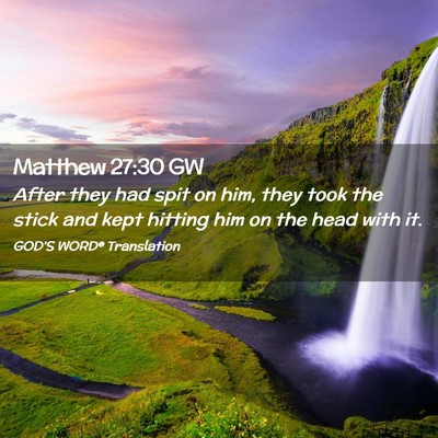 Picture 02 - Matthew 27:30 GW - After they had spit on him, they took the stick - Bible Verse Picture