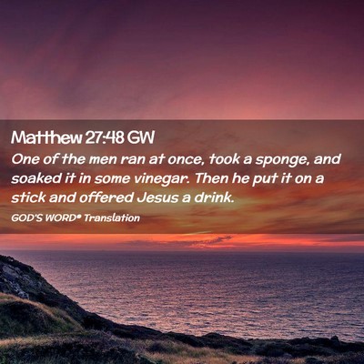 Picture 02 - Matthew 27:48 GW - One of the men ran at once, took a sponge, and - Bible Verse Picture