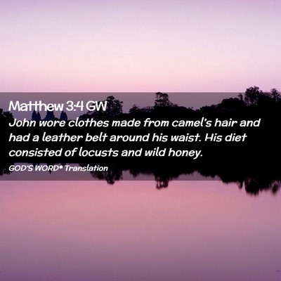 Picture 02 - Matthew 3:4 GW - John wore clothes made from camel’s hair and - Bible Verse Picture