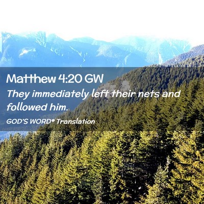 Picture 02 - Matthew 4:20 GW - They immediately left their nets and followed - Bible Verse Picture