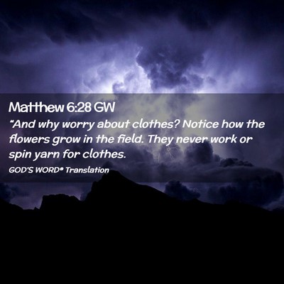 Picture 02 - Matthew 6:28 GW - “And why worry about clothes? Notice how the - Bible Verse Picture