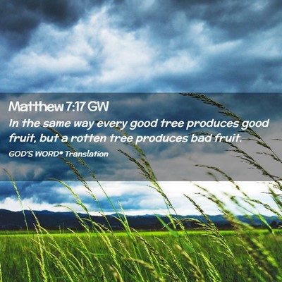 Picture 02 - Matthew 7:17 GW - In the same way every good tree produces good - Bible Verse Picture