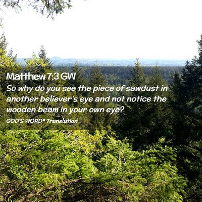 Picture 02 - Matthew 7:3 GW - So why do you see the piece of sawdust in another - Bible Verse Picture