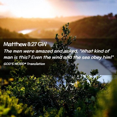 Picture 02 - Matthew 8:27 GW - The men were amazed and asked, “What kind of - Bible Verse Picture