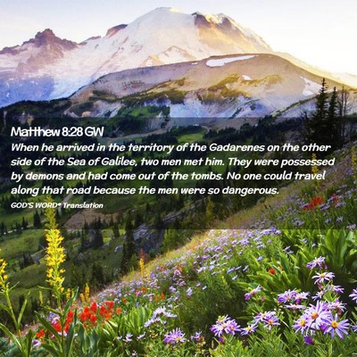 Picture 02 - Matthew 8:28 GW - When he arrived in the territory of the Gadarenes - Bible Verse Picture